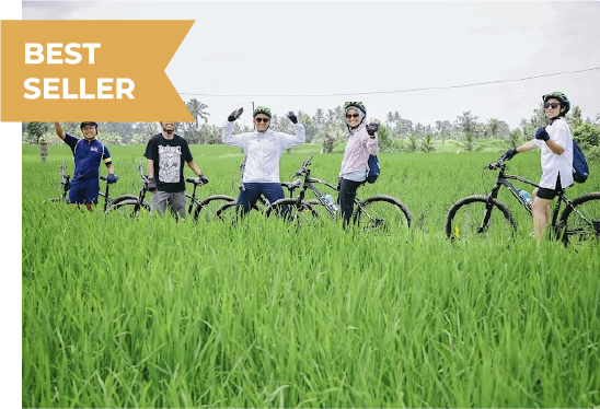small group join sunrise cycling in bali