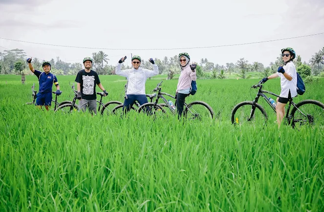 sunrise cycling tour in ubud