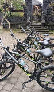 bike family cycling tour in Ubud Bali
