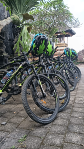 bike family cycling tour in Ubud Bali
