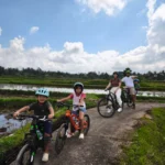 Family enjoying a cycling tour in Ubud through rice fields with a friendly local guide family cycling in ubud rice field kids cycling in ubud village