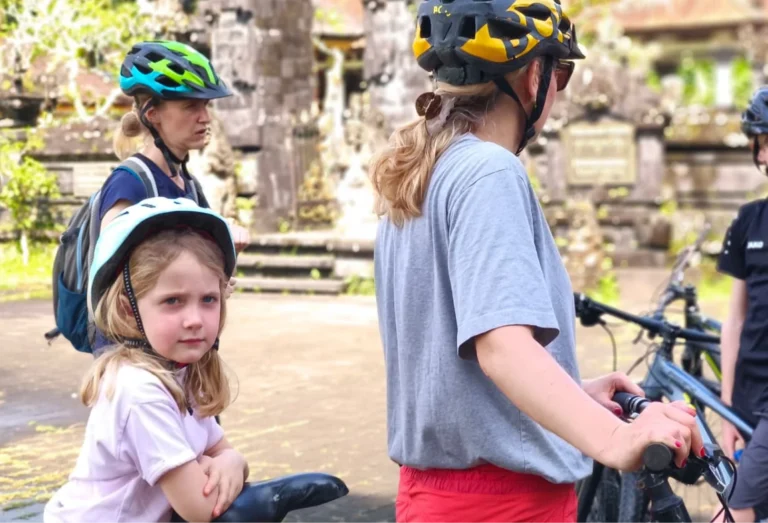 kids bike or child seat