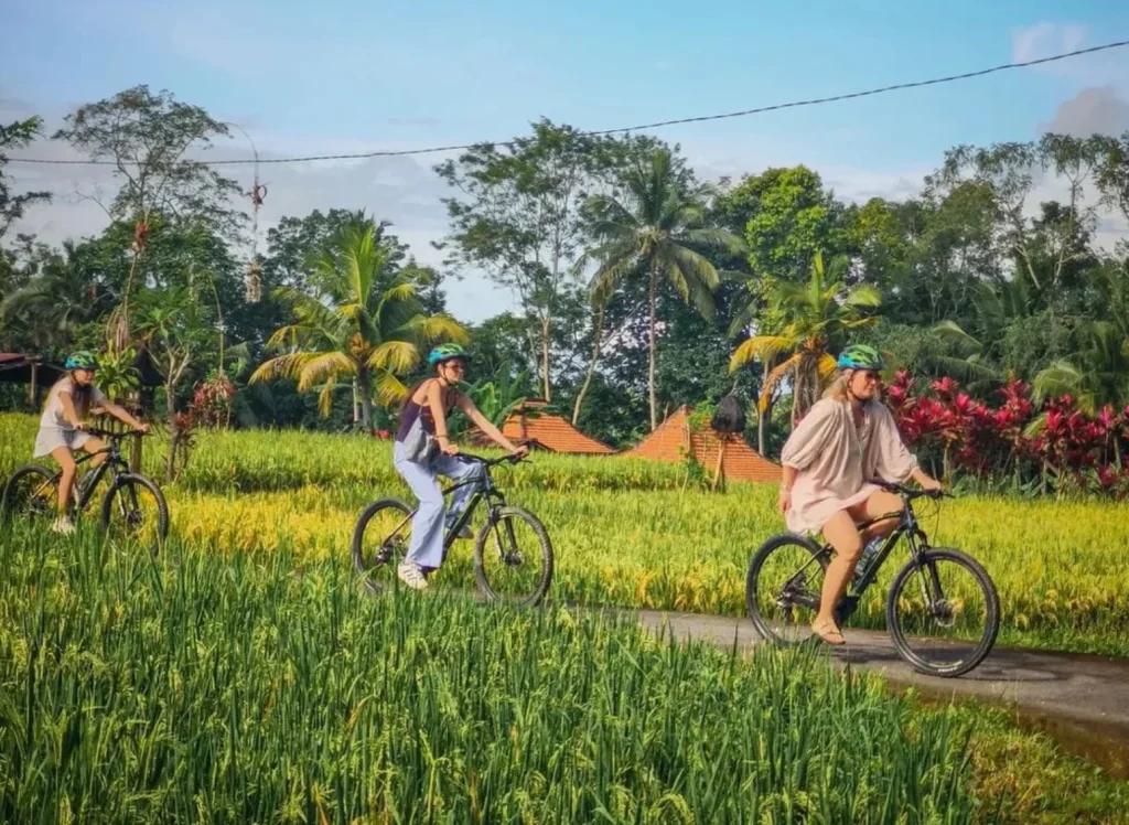 bike tour ubud